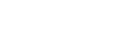 NexaHost Logo Favicon